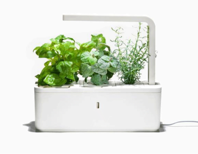 新版智能盆栽草本花园 Click and Grow Smart Herb Garden 让园艺种植更简单